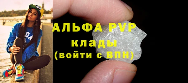 трава Белокуриха