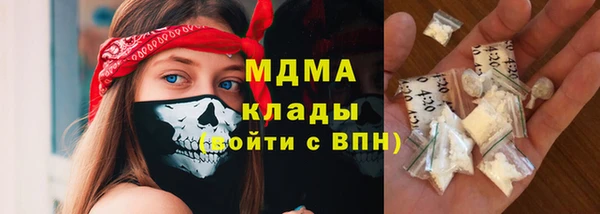 трава Белокуриха