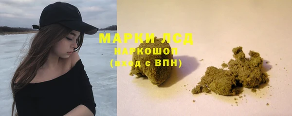 трава Белокуриха